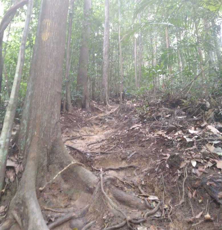 Gunung Pulai (Mount Pulai)景点图片