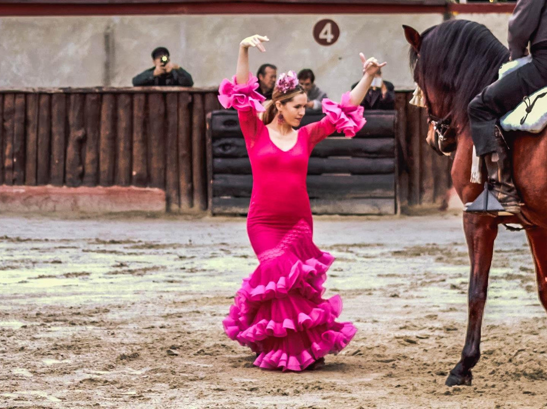 Cervantour-阿尔卡拉-德-哈纳雷斯必去景点