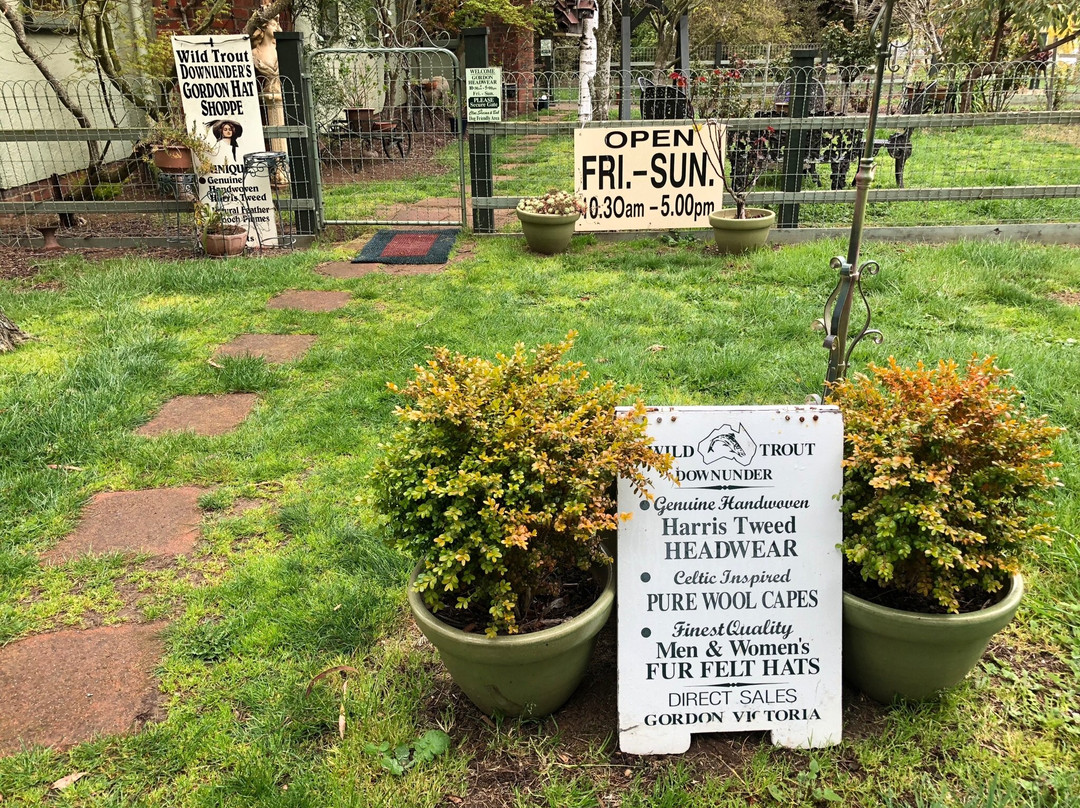 Wild Trout Downunde Gordon Hat Shoppe-Gordon必去景点