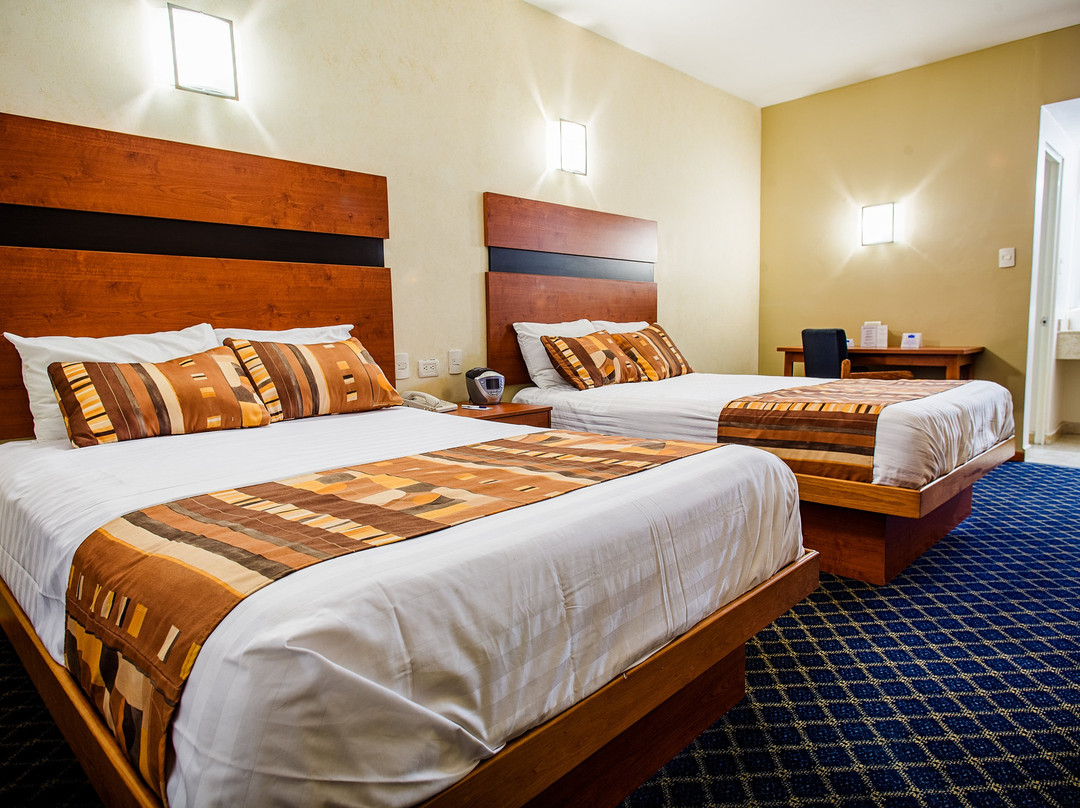 American Inn Hotel & Suites Delicias主图