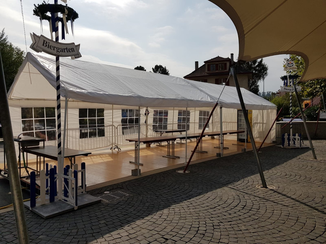 Hotel de Ville de Bussigny主图