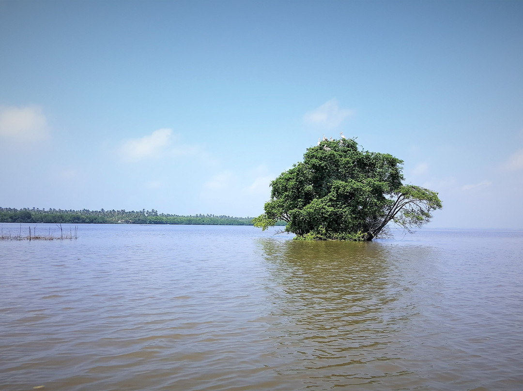 尼甘布旅游景点-Negombo Lagoon