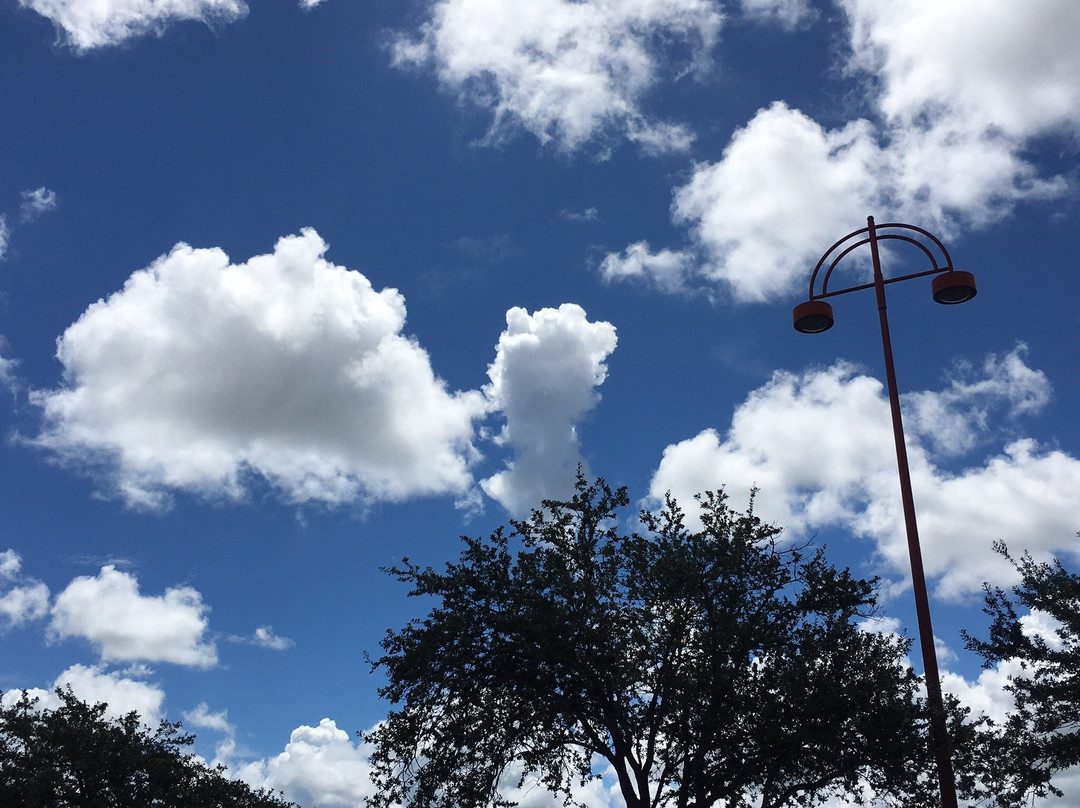 Vero Beach Outlets-维罗海滩必去景点