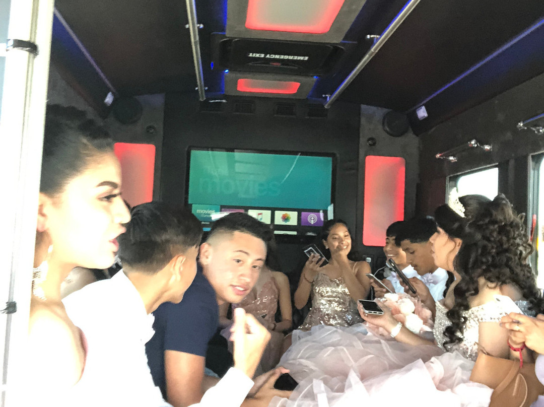 5 Star Limo Bus Rentals景点图片