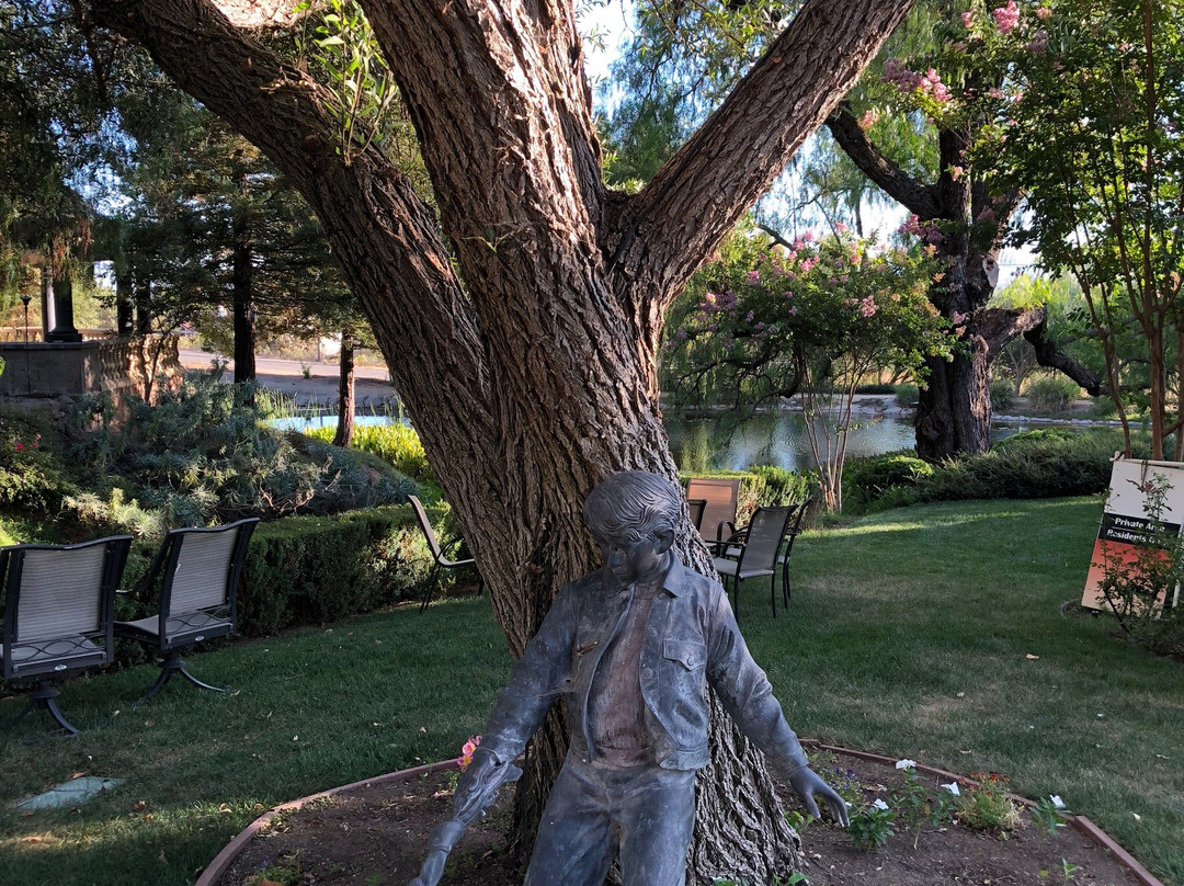 Castillo's Hillside Shire Winery-摩根希尔必去景点