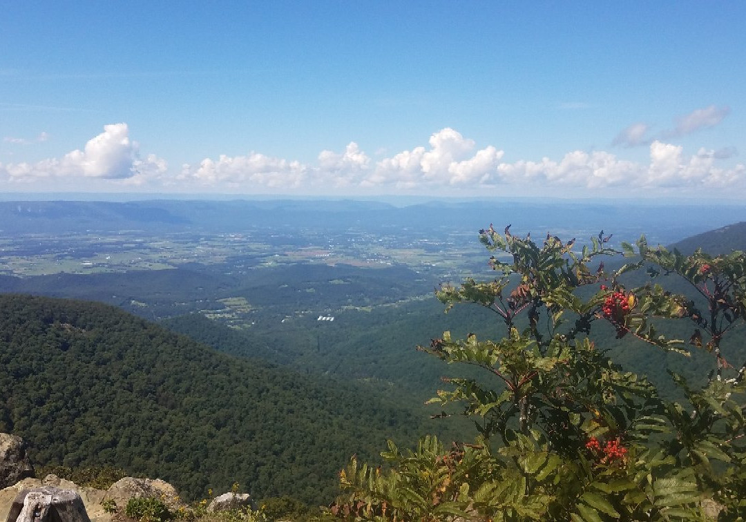 Hawksbill Mountain Trail景点图片