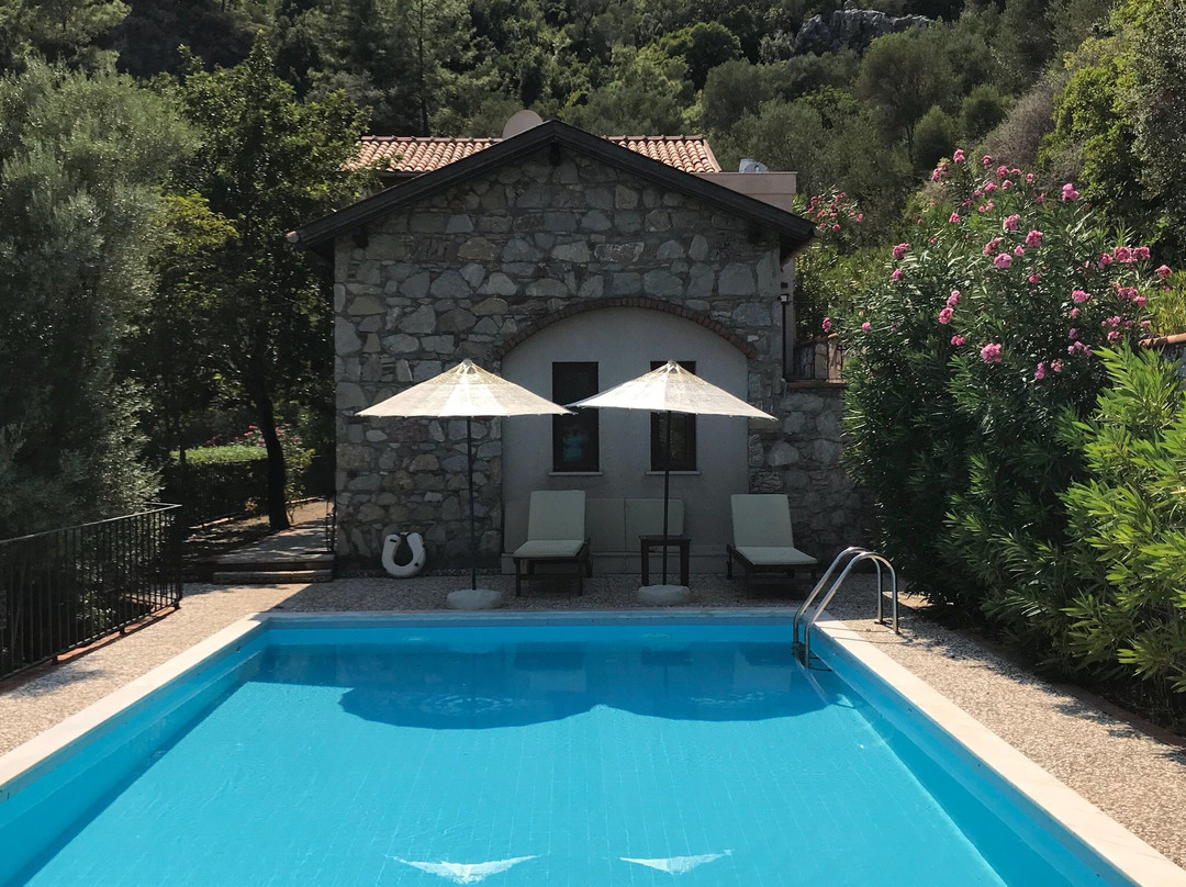 Dionysos Village Hotel主图