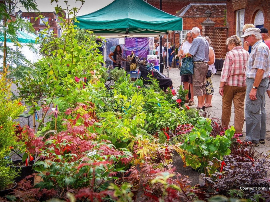 Lymington Charter Market-利明顿必去景点