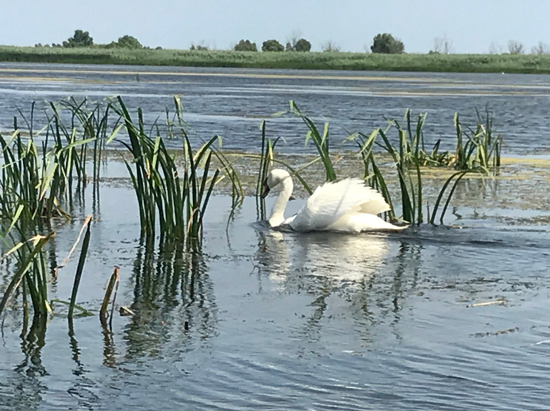 Caspian Sea-阿斯特拉罕必去景点