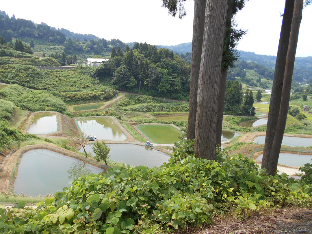 Yamakoshi Rice Terraces-长冈市必去景点