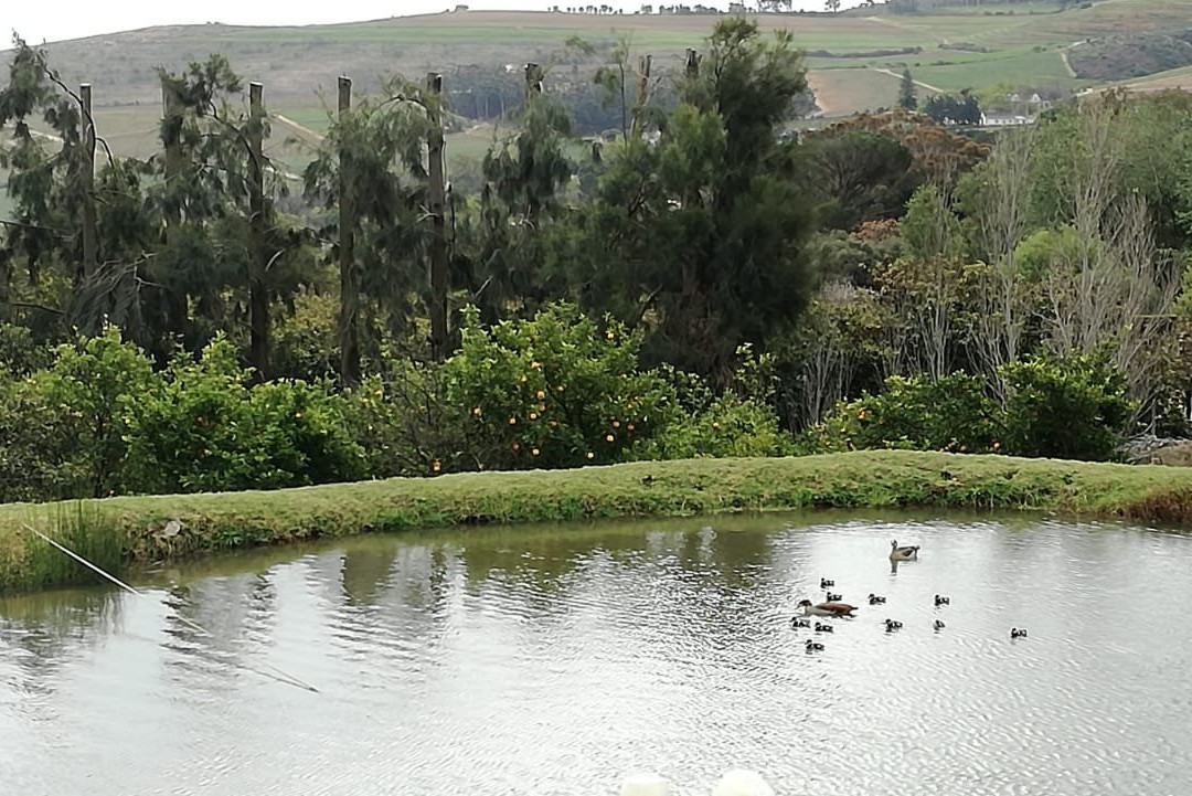 Dunstone Country Estate主图