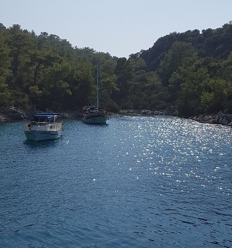 Boat Trips by Captain Ergun景点图片