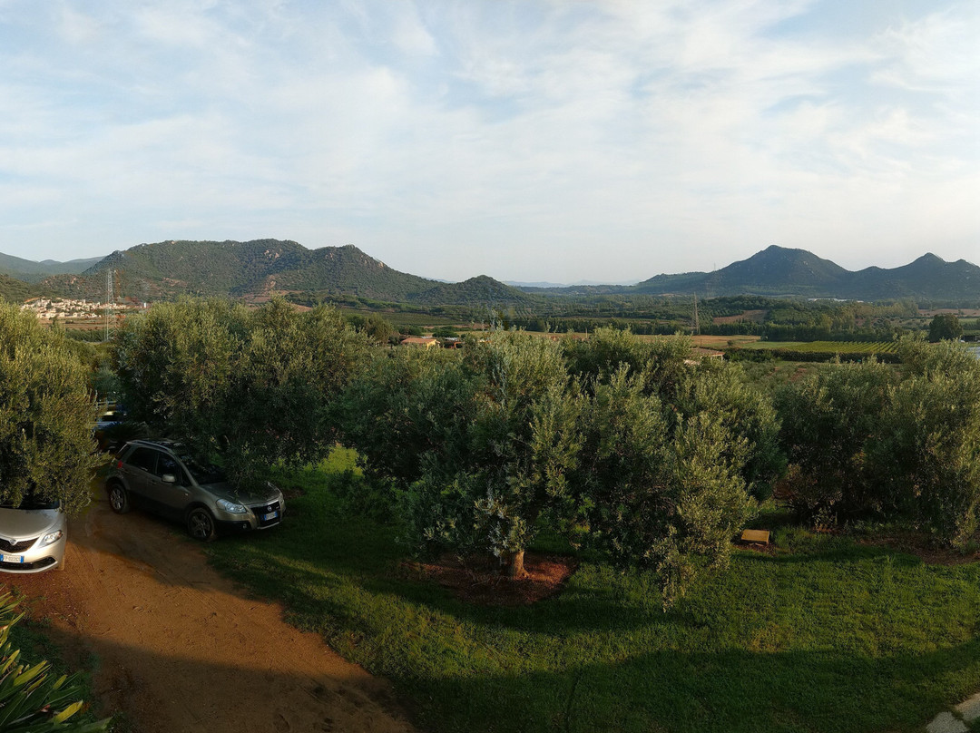 Agriturismo gli Ulivi主图