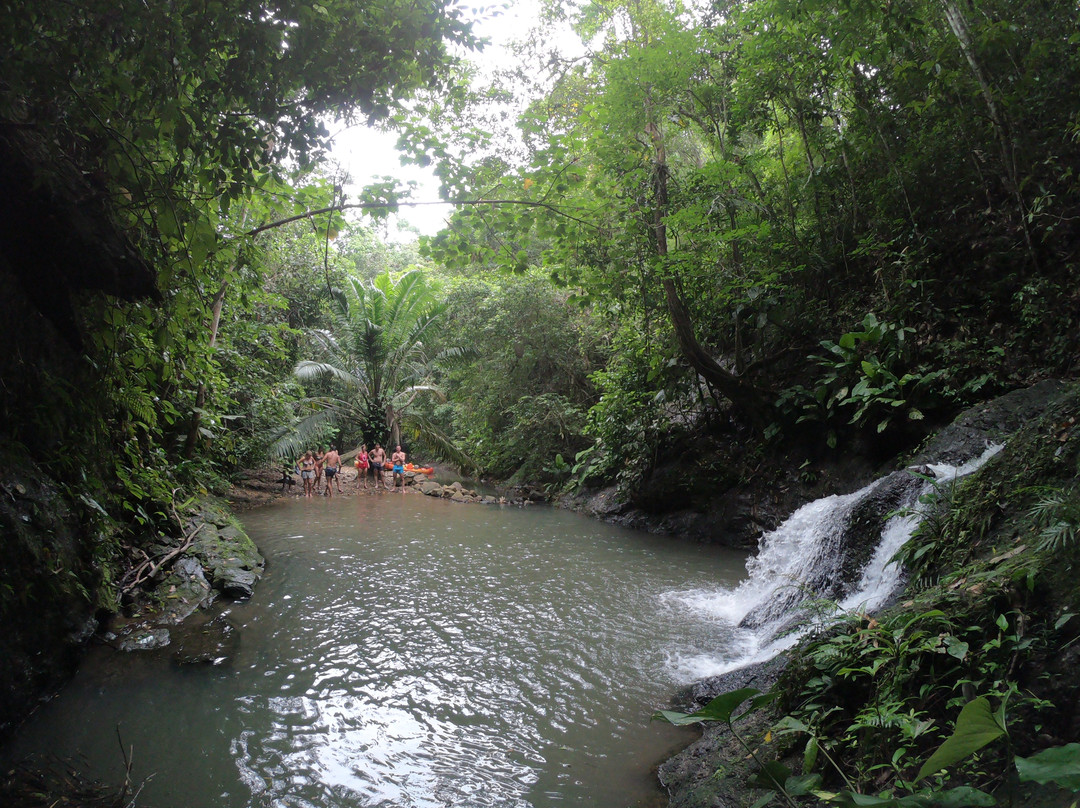 Jungle Land Panama景点图片