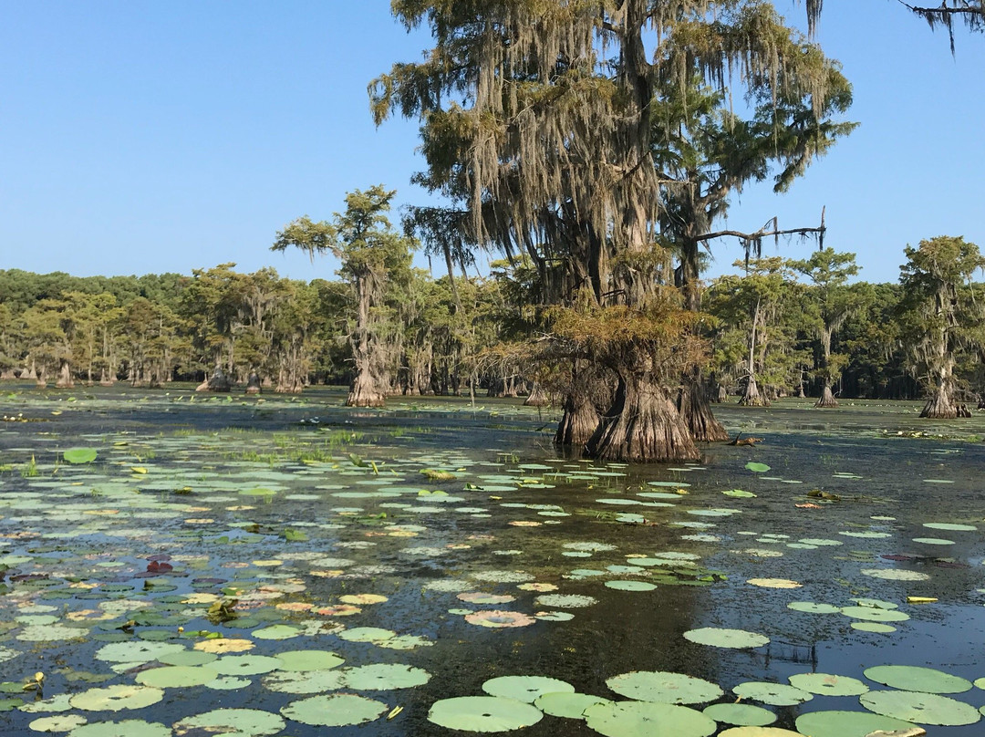 Big Dreamer Tours & Guide Services-Karnack必去景点