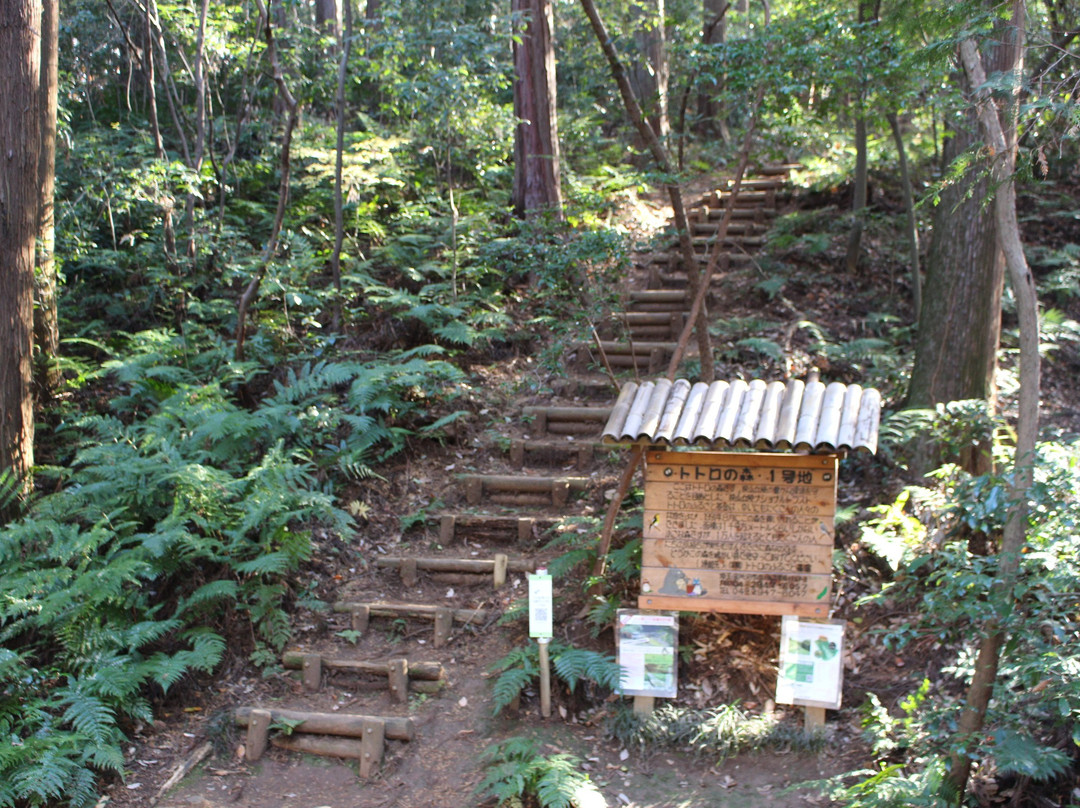 Totoro Forest-所泽市必去景点