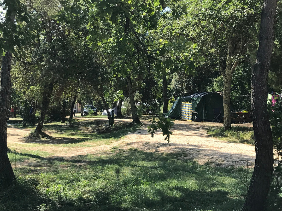 Camping Mas de Rey
