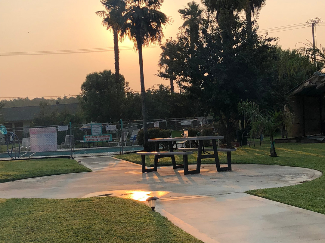 99 Palms Inn & Suites主图