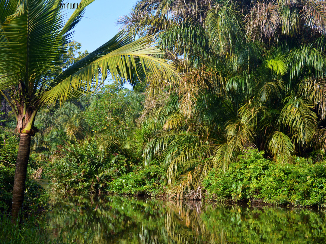 Canto del Mar Guest House and Botanical Garden主图