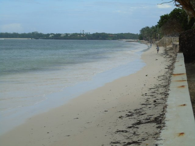 Driftwood Beach Club主图