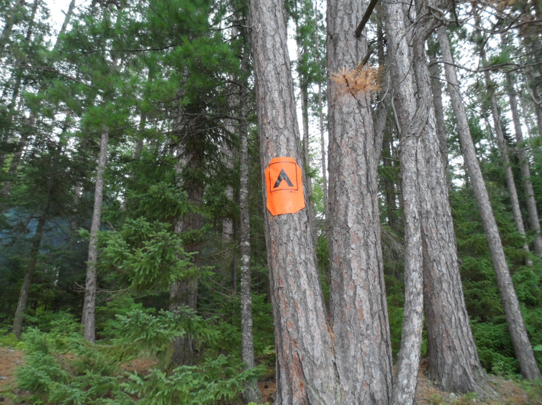 Brent Crater Trail-阿冈昆公园必去景点