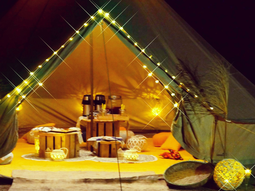 Sealife Experience Turtle Watching-圣塔玛丽亚必去景点