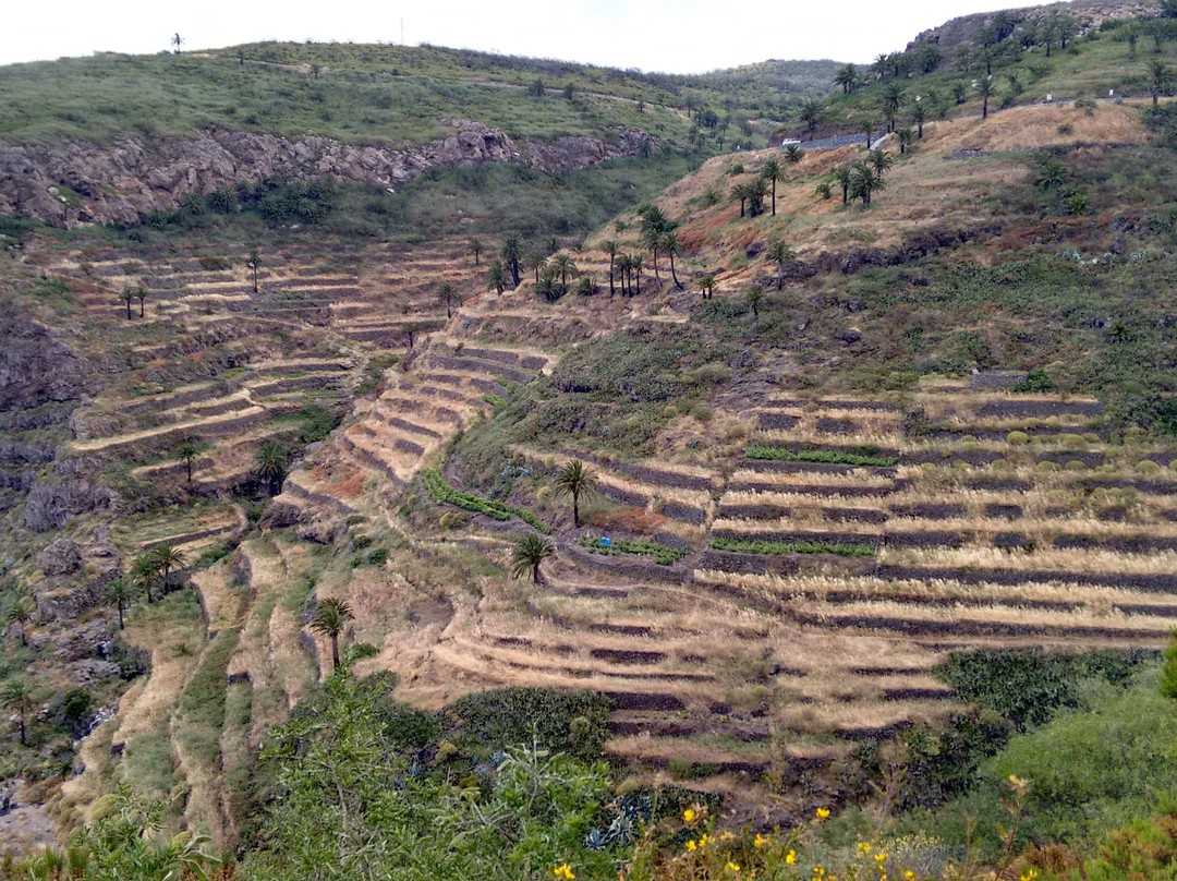 Canarias Nature Guides景点图片