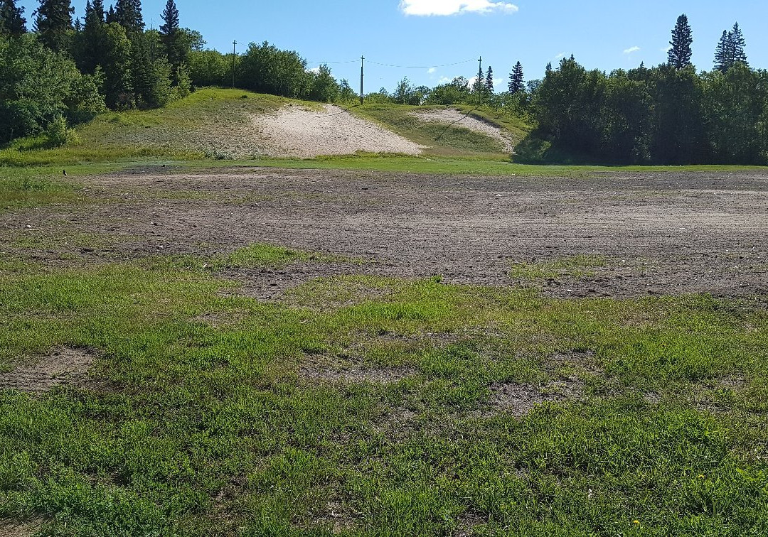 Little Red River Park-Prince Albert必去景点