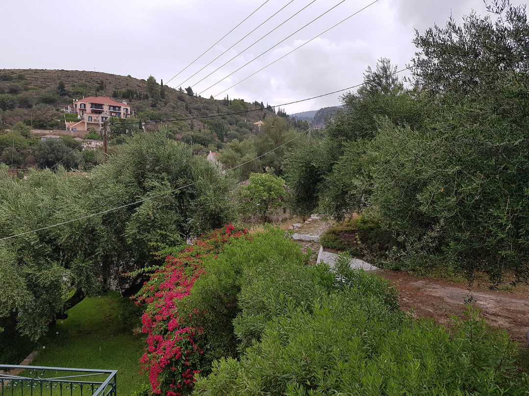 Pension Gerania主图