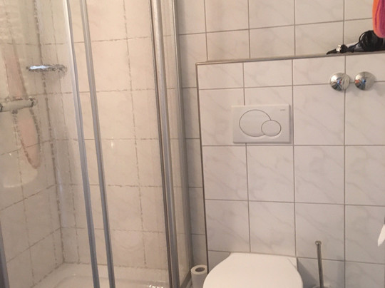 Haus Bergwiese主图