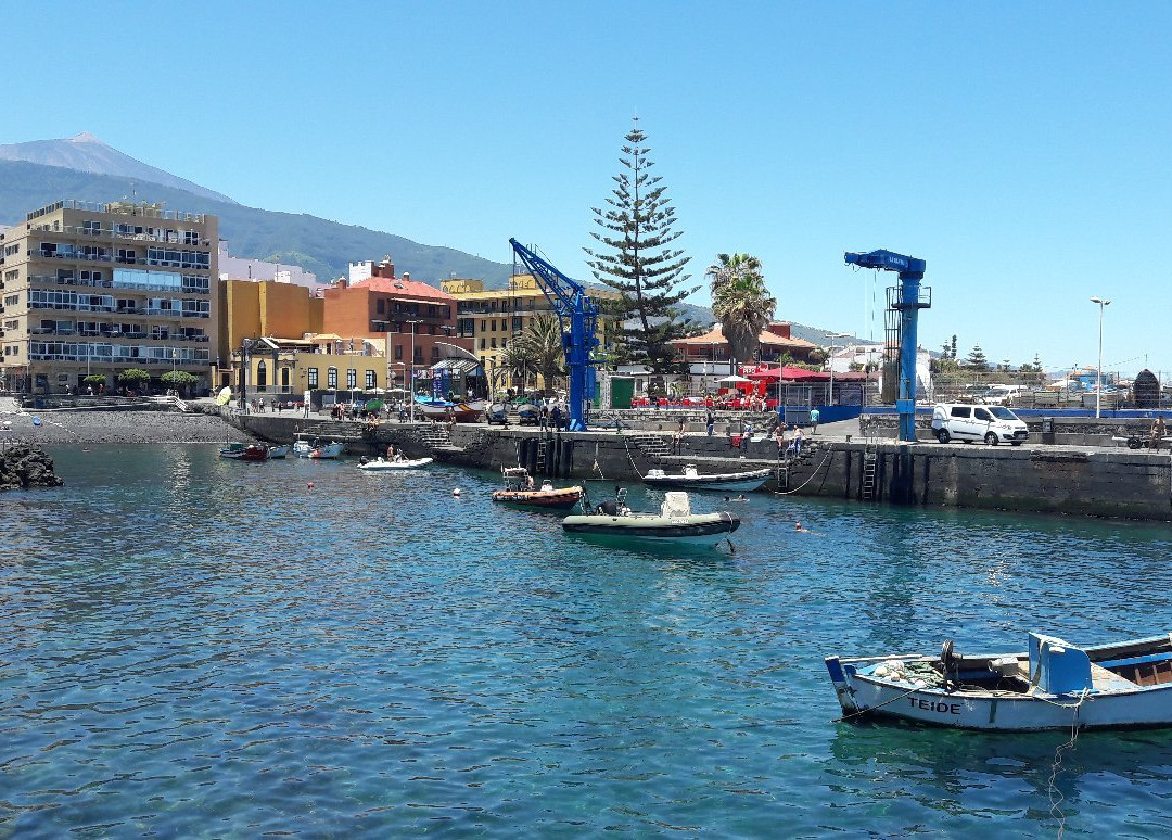 Historico Muelle Pesquero Puerto de la Cruz景点图片