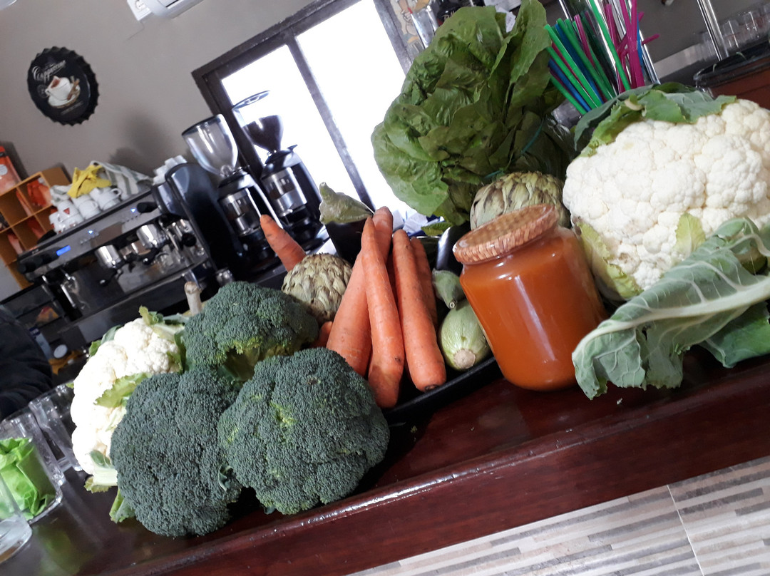 El Palmar de Vejer餐馆和美食-Los Arcos