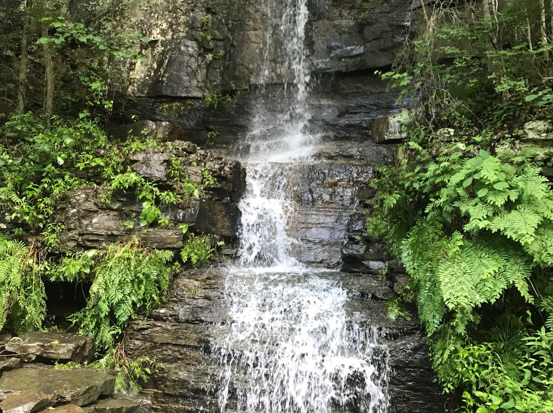 Big Soddy Creek Gulf-Soddy Daisy必去景点