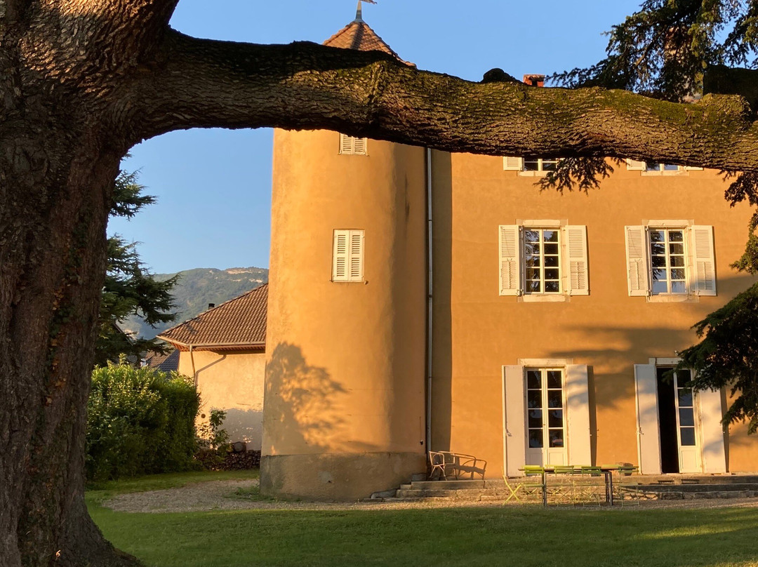 Château la Violette