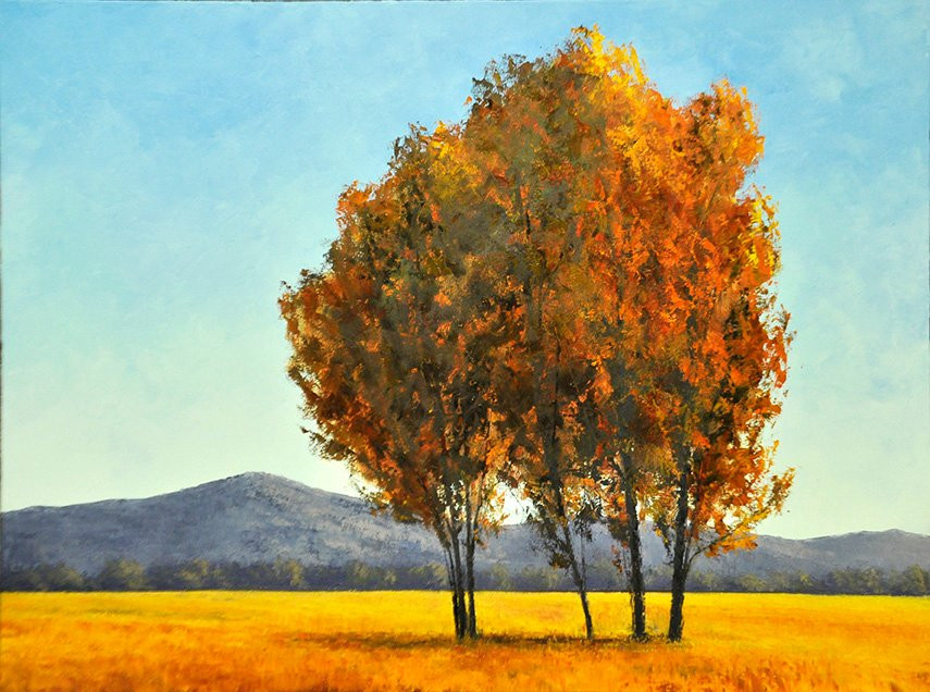 Art on Oak景点图片