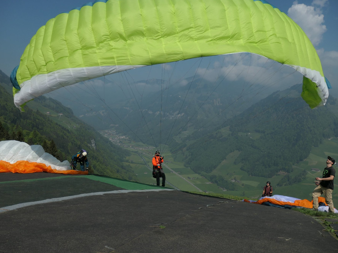 DragonView.ch Paragliding Adventure-苏黎世必去景点