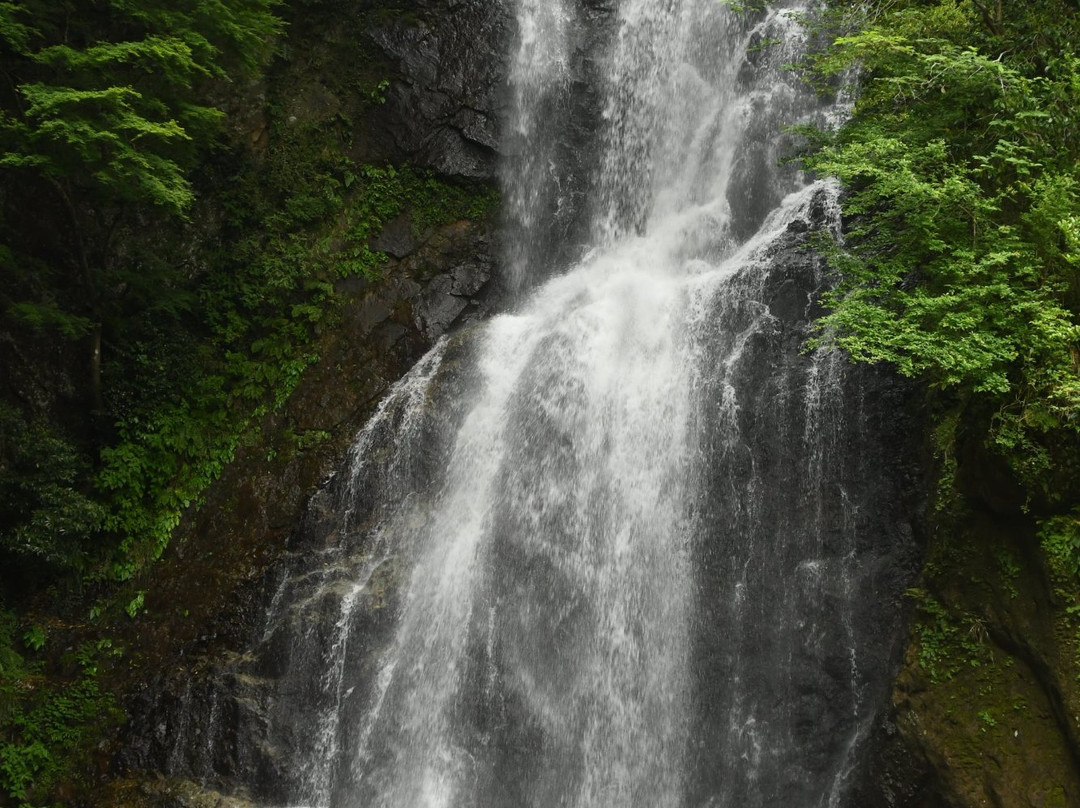 Otaki Falls景点图片