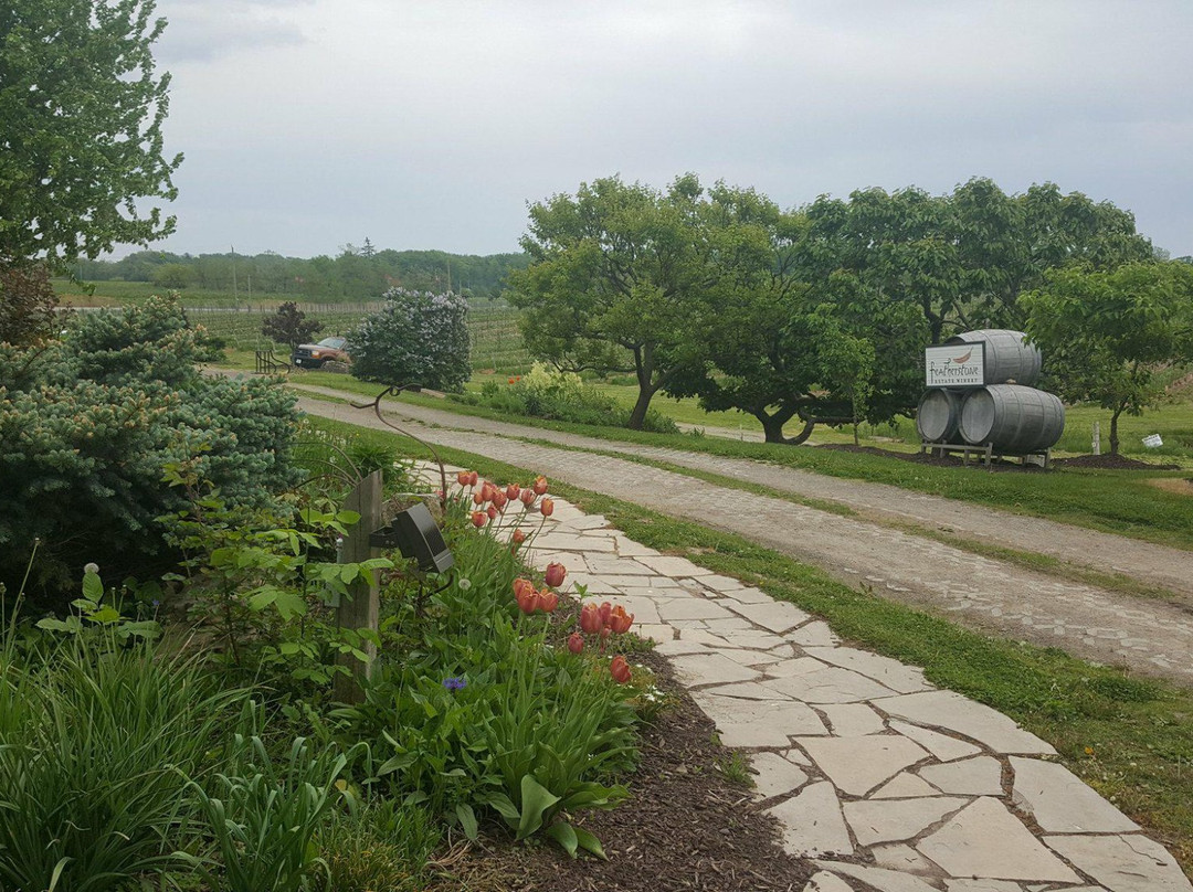 Featherstone Estate Winery景点图片