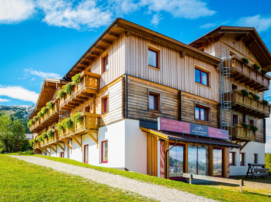 Katschberghohe酒店住宿-Speckalm Katschberg