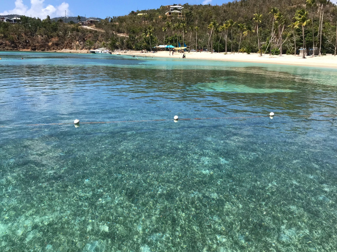 Simplicity Charters-Red Hook必去景点