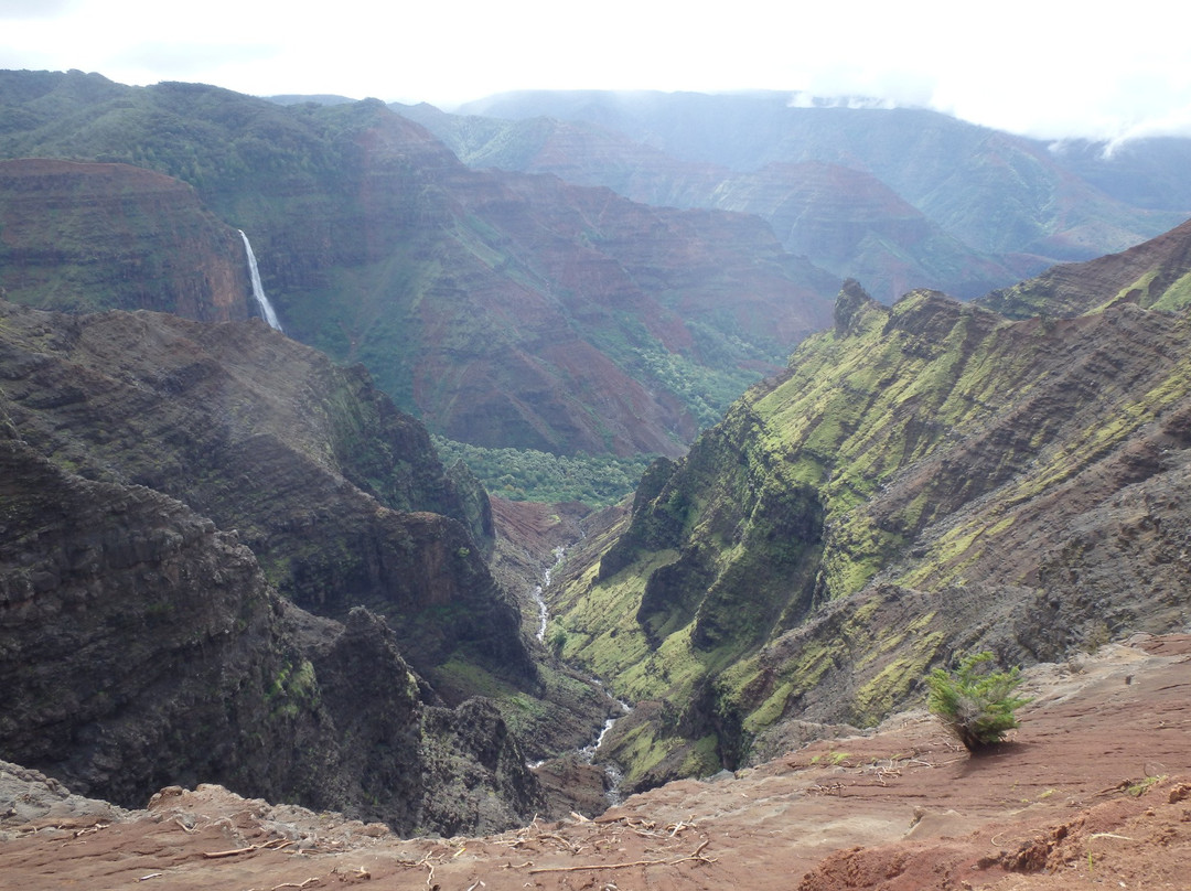 Puu Hinahina Lookout-威美亚必去景点