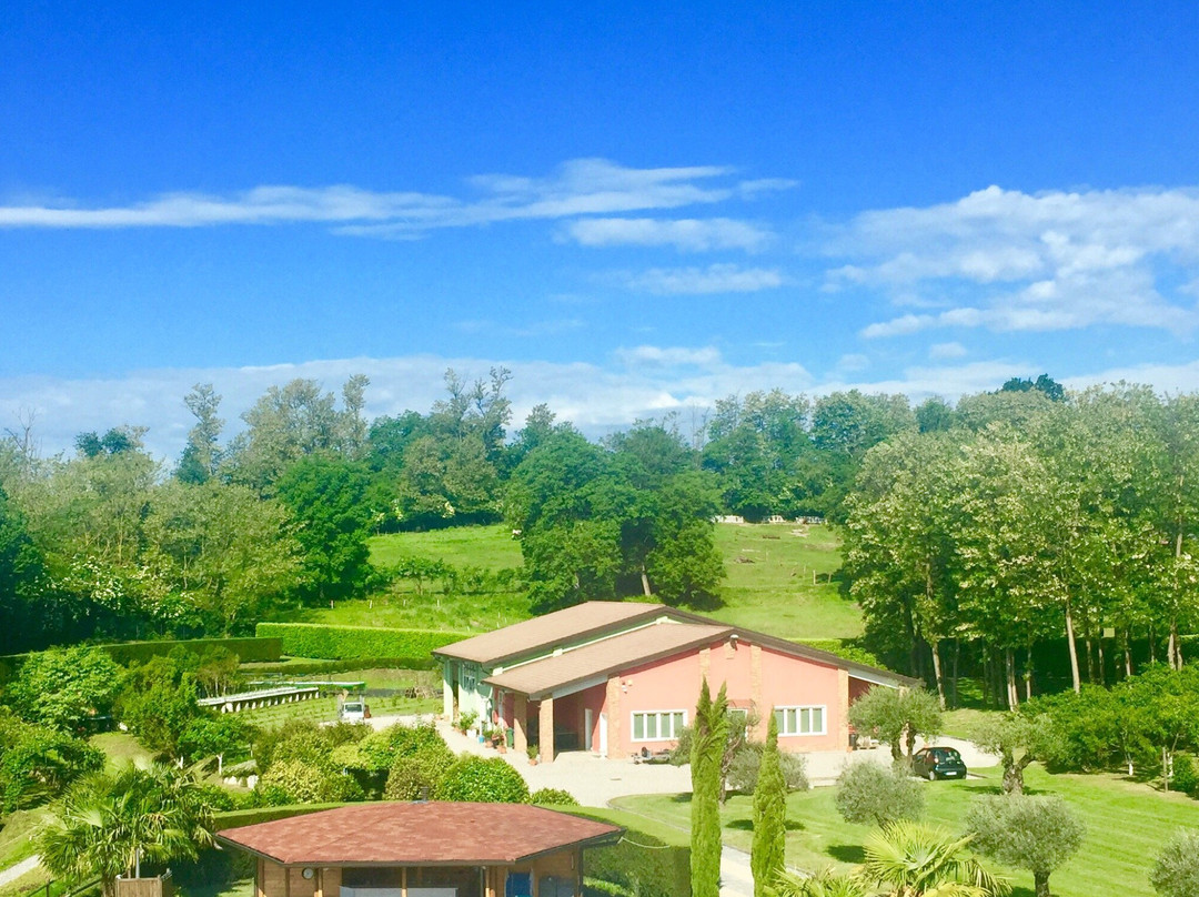 Tenuta La Vigna主图