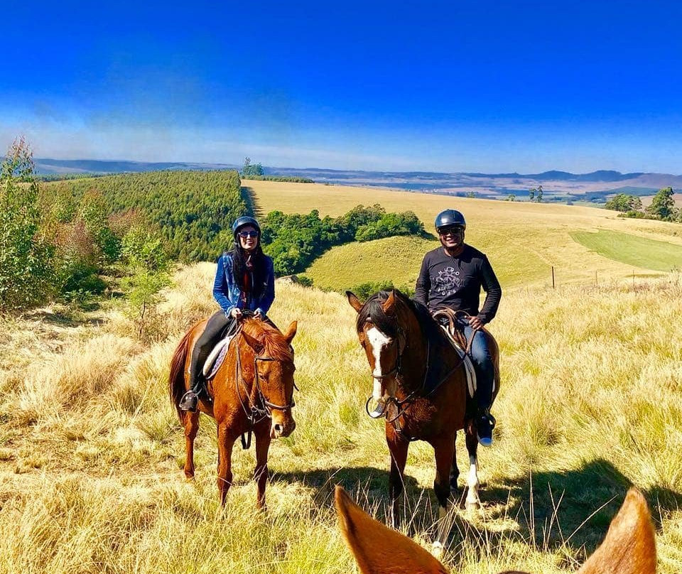 Buffelsbosch Equestrian景点图片