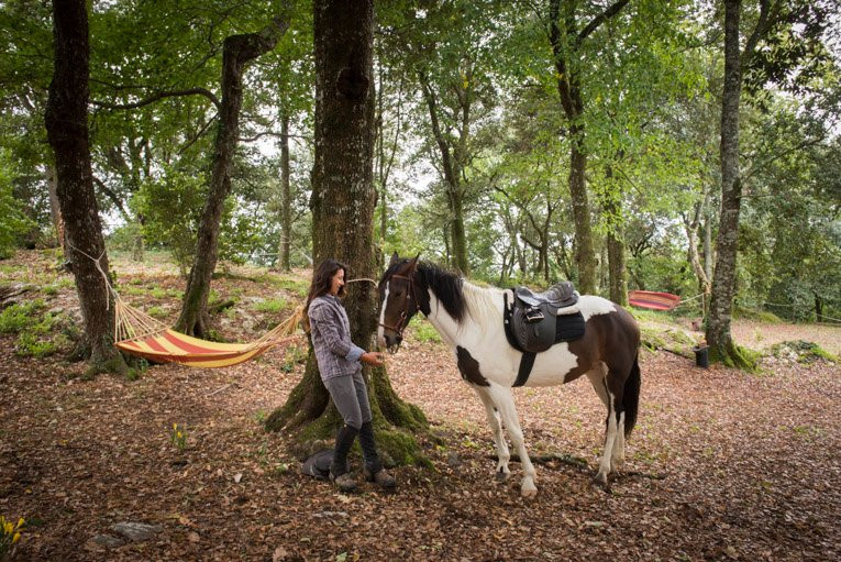 Borgo Pignano Horseback Riding景点图片