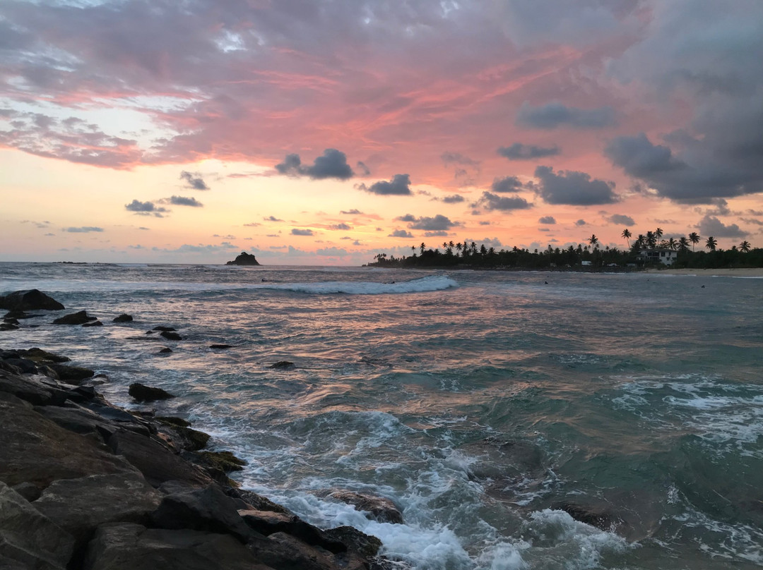 The West Coast House主图