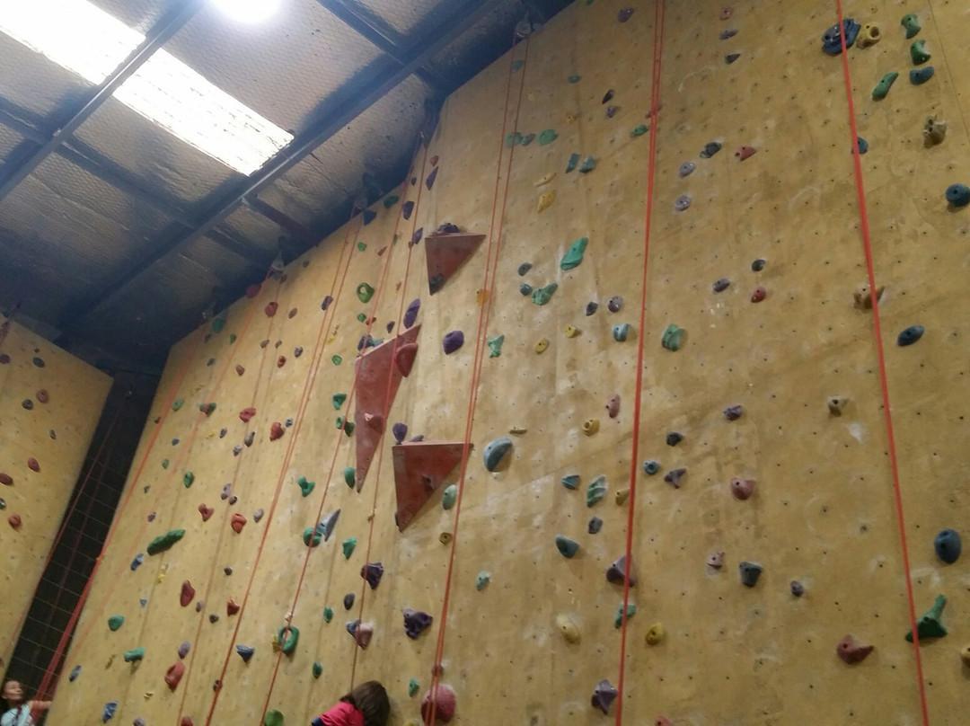 The Edge Rock Climbing Centre景点图片