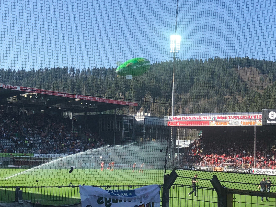 Schwarzwald-Stadion-佛莱堡必去景点