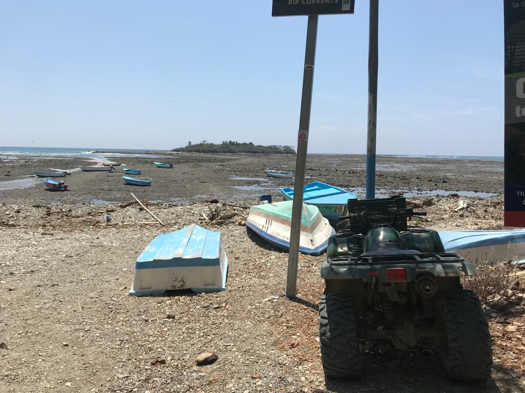 Mar Paraiso Fishing Tours景点图片