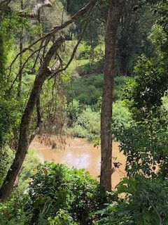 Nimbin Rocks Retreat主图