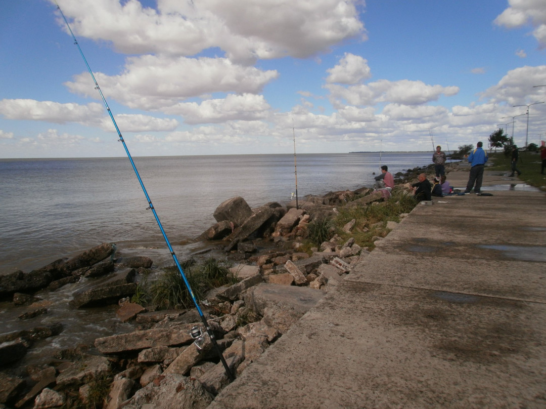 Costanera Sur景点图片